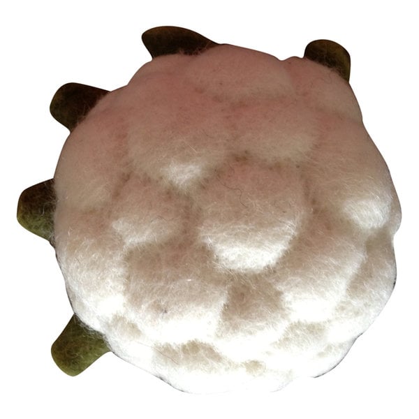 Papoose juguetes coliflor vegetales