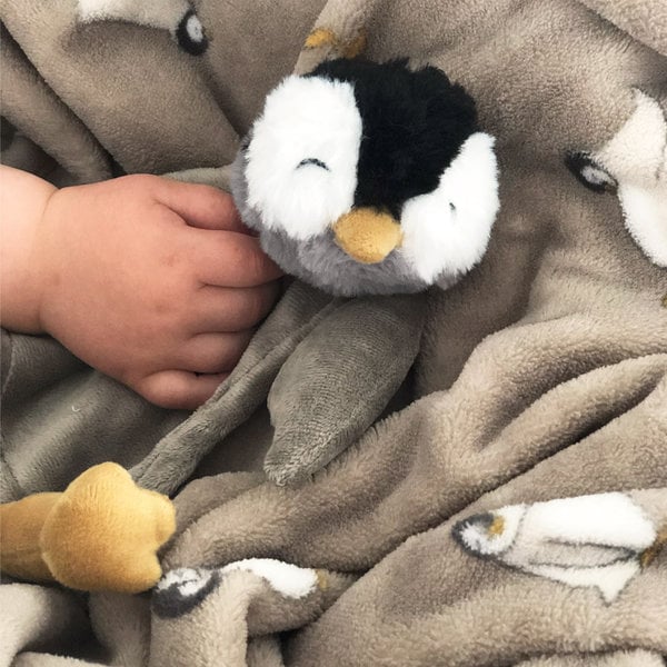 Petú petú aka coccola pinguin