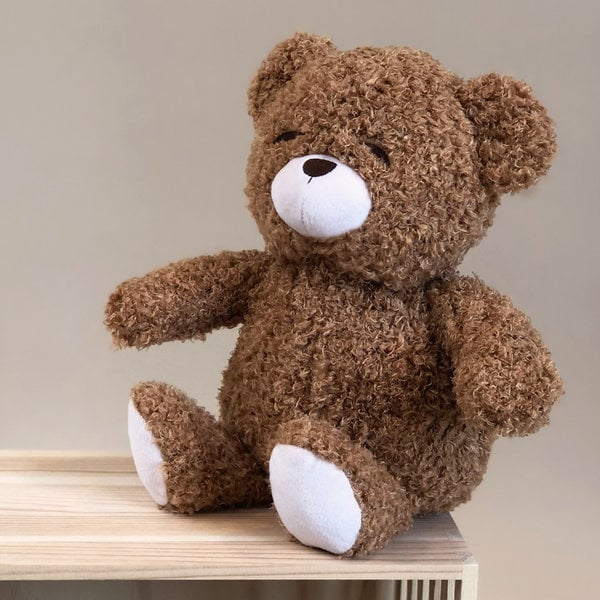 Petú petú raad teddy bruin 28cm
