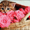 Kangaro k-0014d118 buro-onderlegger pp 38x58cm kitten
