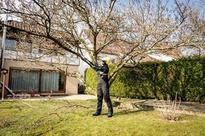 Attacco Metabo Puner MON-MS 25