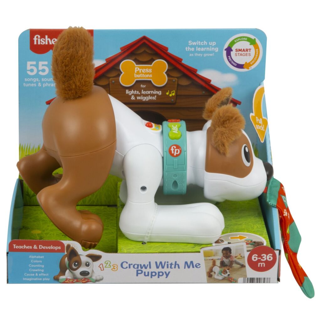 Fisher Price Crawl with Me cucciolo + luce e suono