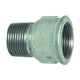 Nipplo presa 1 n.529a zincato