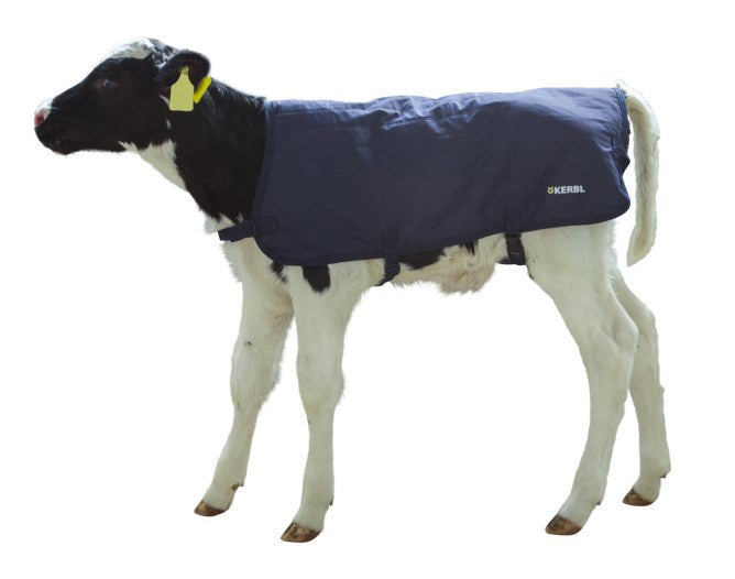 Protector pantorrilla easywear azul 70cm