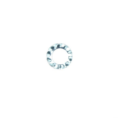 Anillo diente gloria
