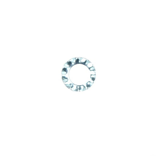 Anello con dente Gloria