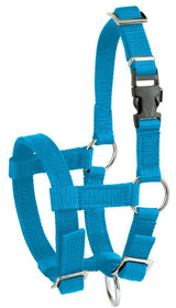 Producten alpaca halster blauw - afbeelding 1