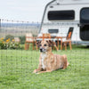 Ako producten campingnet 20meter 80cm groen dubbele pen