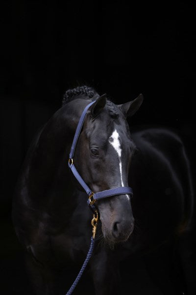 Abi producten topline halster blauw 1 pony