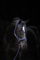 Topline cavezza blu 1 pony