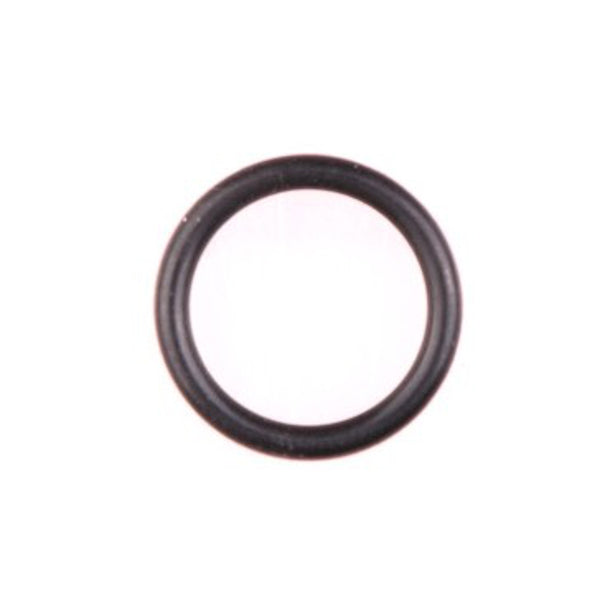 Gloria o ring 4
