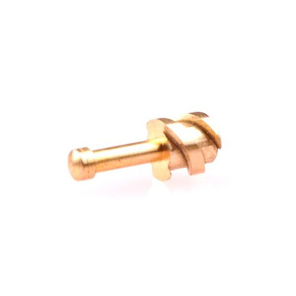 Gloria vertebra 2
