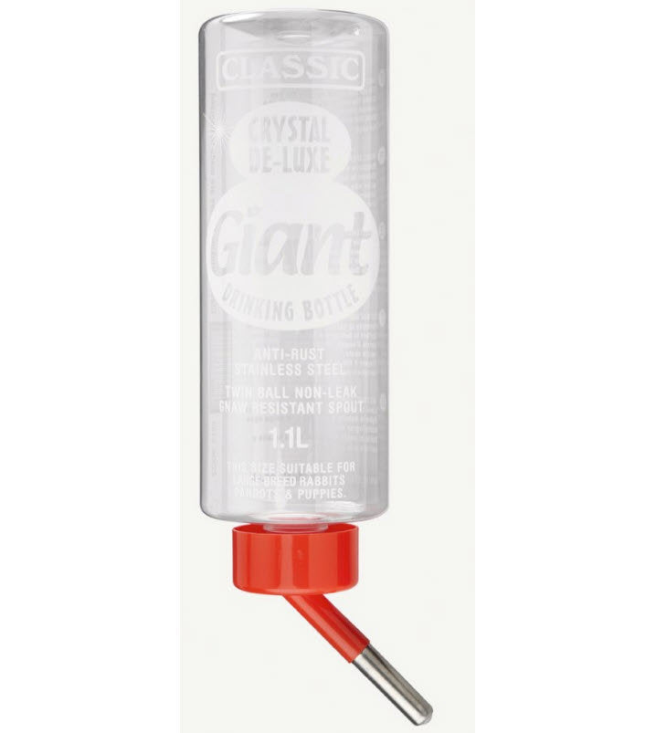 Coniglio di plastica in bottiglia classica