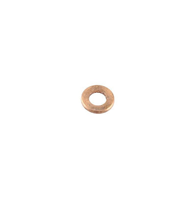 Anello distanziale dell'Eider