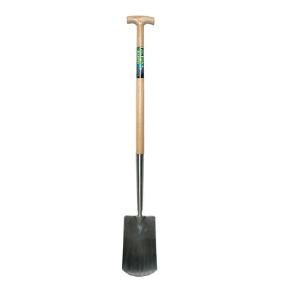 Mm eurotool vanga mm lucida