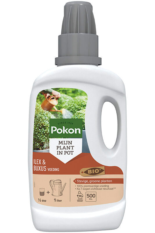 Pokon bio alimento boj ilex 500 ml