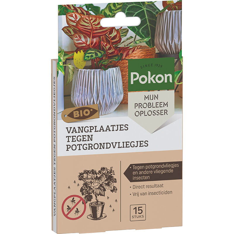 Pokon bio trampas adhesivas contra moscas de tierra para macetas 15 piezas
