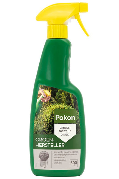 Pokon restaurador verde 500ml