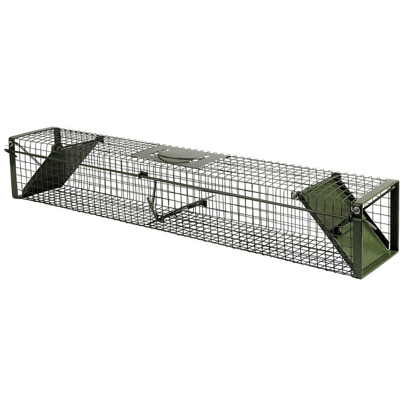 Ngk prodotti vaooi 100cm verde 2 ingressi 100x175x165cm