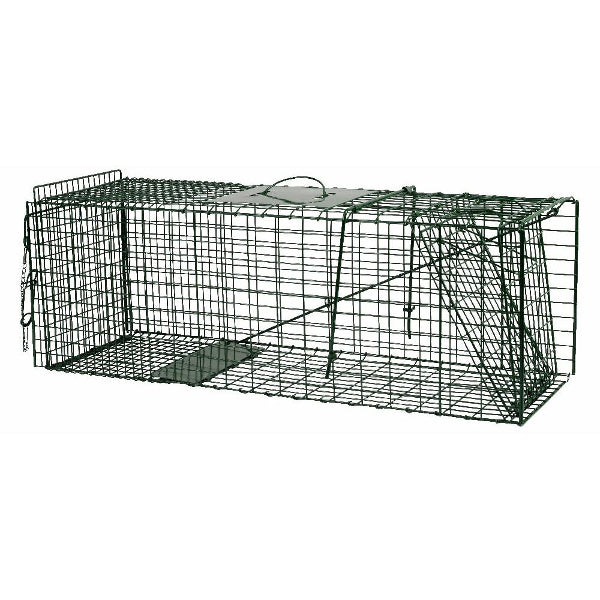 Prodotti NGK cacciatore vivo di pecora verde 94x31x34cm