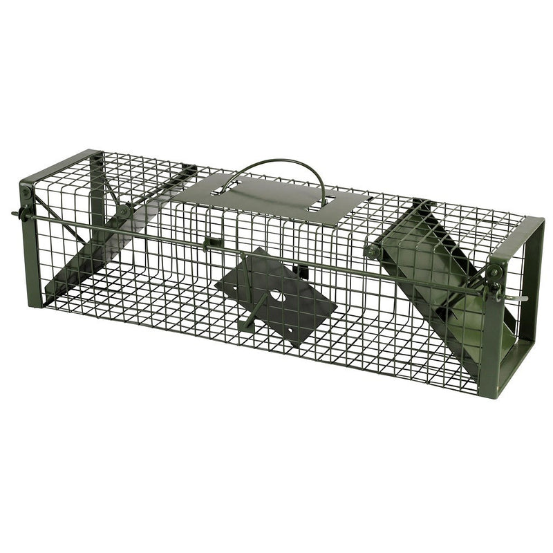 Ngk prodotti vaooi 60cm verde 2 ingressi 60x175x165cm