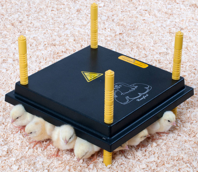 Productos Olba placa calefactora para pollitos 30x30cm 22watt