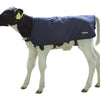 Sottopolpaccio easywear blu 70 cm