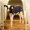 Sottopolpaccio easywear blu 70 cm
