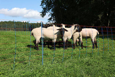 Ako schapennettitan premium 90cmx50m dubbel pen blauworanje