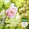 Pokon bio kuur voor weerbare en gezonde rozen spray 750ml