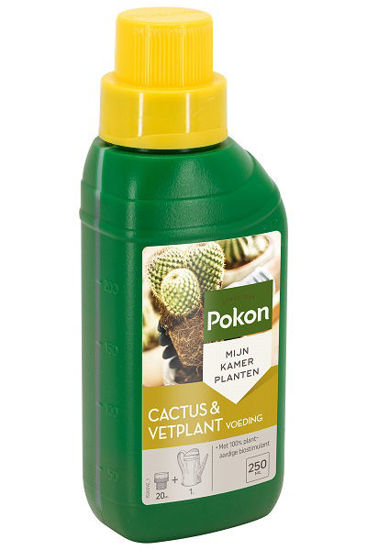 Pokon bio cactus vetplant voeding 250ml