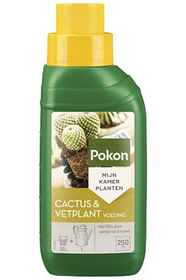 Pokon bio cactus vetplant voeding 250ml