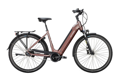 Victoria Electric Trekking Bike Tresalo 13 (#1) Ebike Vict. Tresalo 13 28 56 5SP FH rame