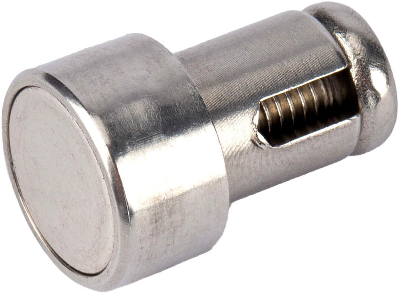 Bosch ha parlato magnete dal 2011