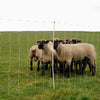 Ako producten wolfnet ovinet maxi 122cm x 50m dubbele pen