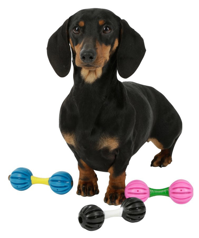 Mancuerna de juguete para perros | 32 piezas