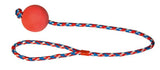 Producten schuimrubberbal aan touw 60cm - afbeelding 2