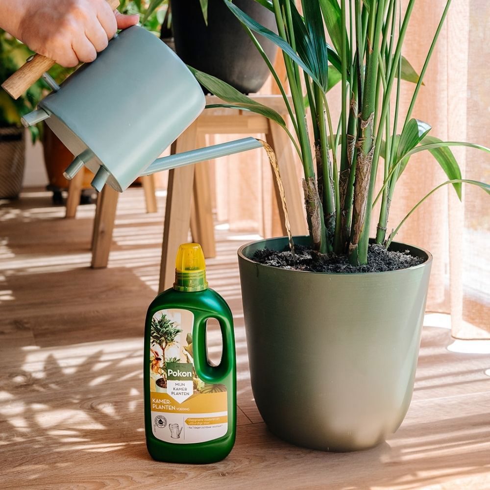 Pokon alimento para plantas de interior 1l