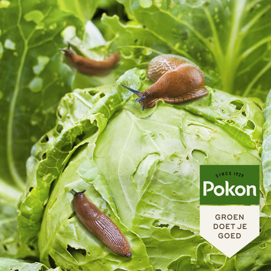 Pokon bio tegen slakken korrels 900gr