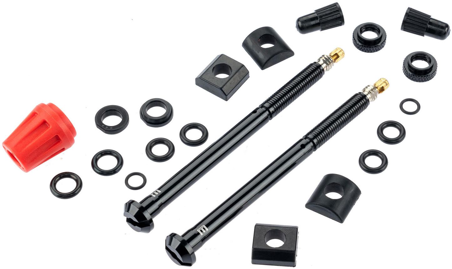 Válvula Quarq Tyrewiz 2.0 E 29.8-37 mm