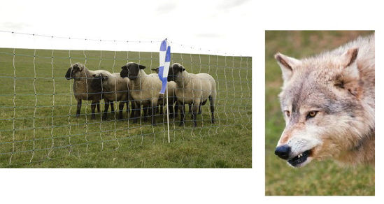 Ako wolfnet ovinet maxi 122cm x 50m dubbele pen