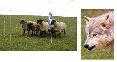 Ako wolfnet ovinet maxi 122cm x 50m dubbele pen