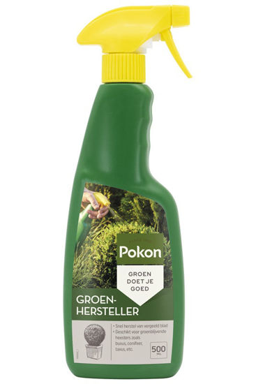 Pokon restaurador verde 500ml