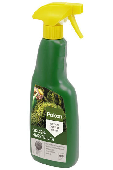 Pokon restaurador verde 500ml