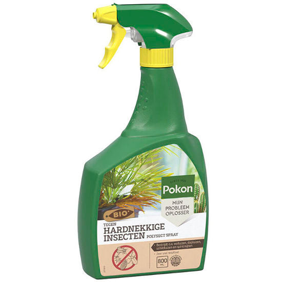 Pokon bio spray contro gli insetti dal collo duro Spray polisetti da 800 ml
