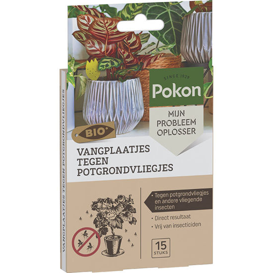 Pokon bio trampas adhesivas contra moscas de tierra para macetas 15 piezas