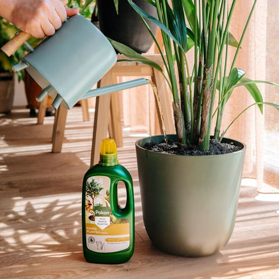 Pokon kamerplanten voeding 1l
