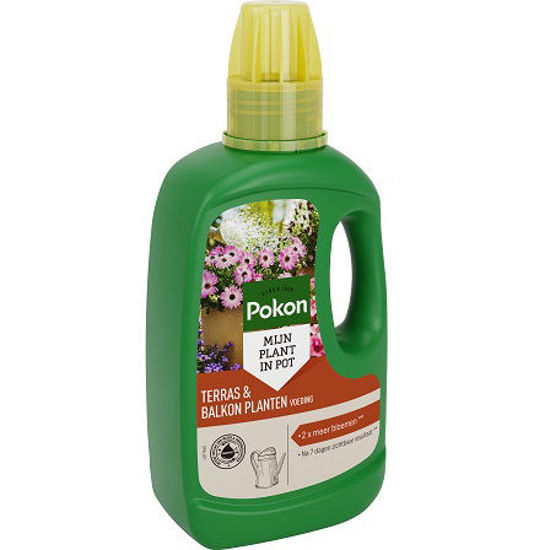 Pokon terras balkon planten voeding 500ml 2