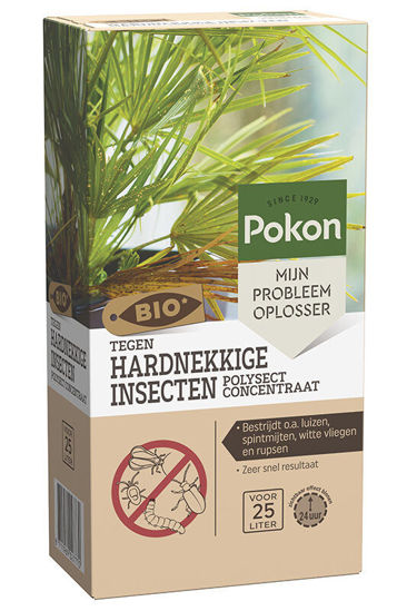 Pokon bio contro gli insetti persistenti concentrato 175ml poli