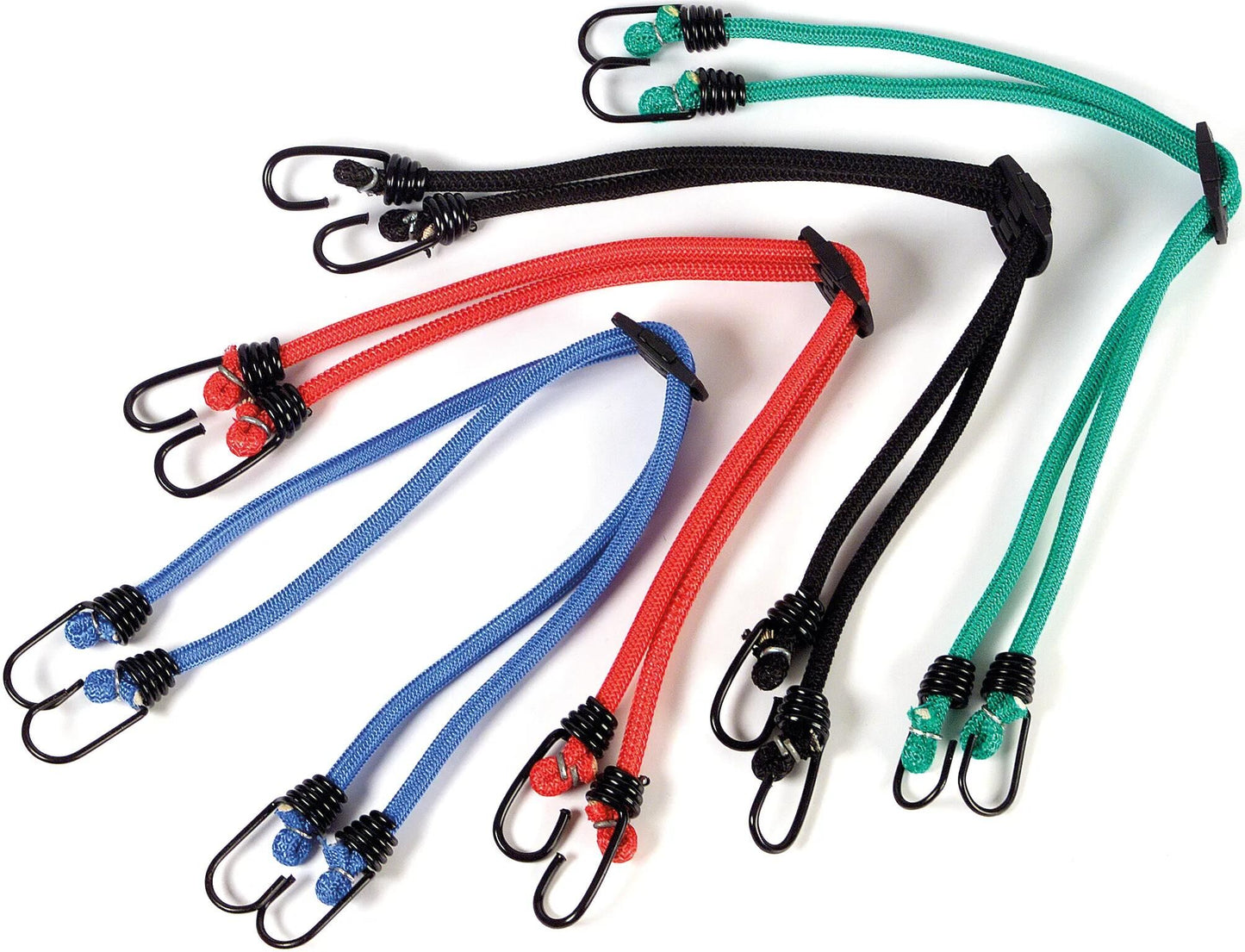 Bibia spanngurt euro fixture .strap euro ass.colors